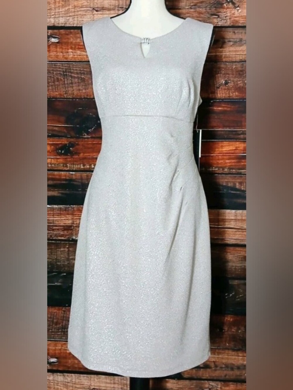 Scarlett Special Occasion Collection Ruched Shimmer Dress